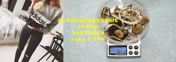 амф Алексин