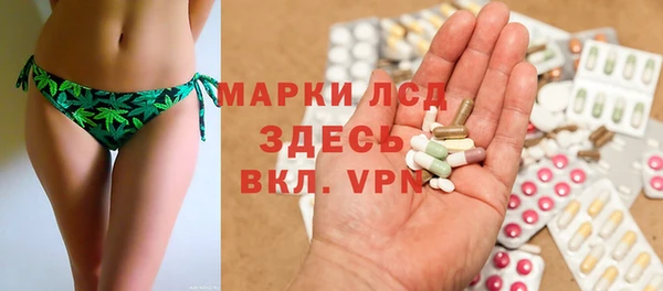 сатива Покачи