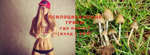 каннабис Алзамай