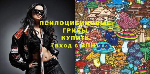 прущие грибы Покров