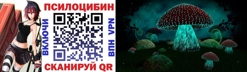 Псилоцибиновые грибы прущие грибы  где купить наркоту  Хвалынск 