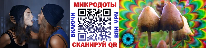 Псилоцибиновые грибы Cubensis Хвалынск